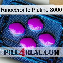 Rhino Platinum 8000 04